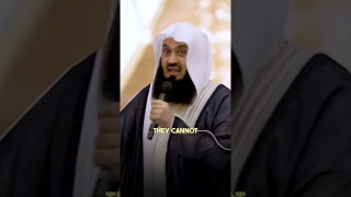 5Qtv72A_ZkQ.jpg