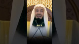QFcDE446fy0.jpg