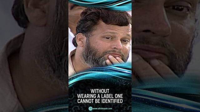 50NCAltA1_o.jpg