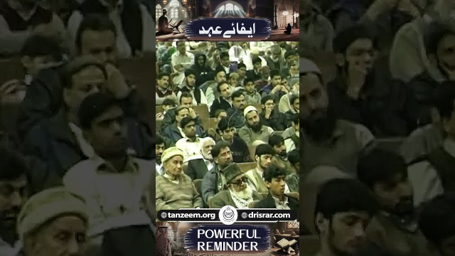 l2qagRilSqg.jpg