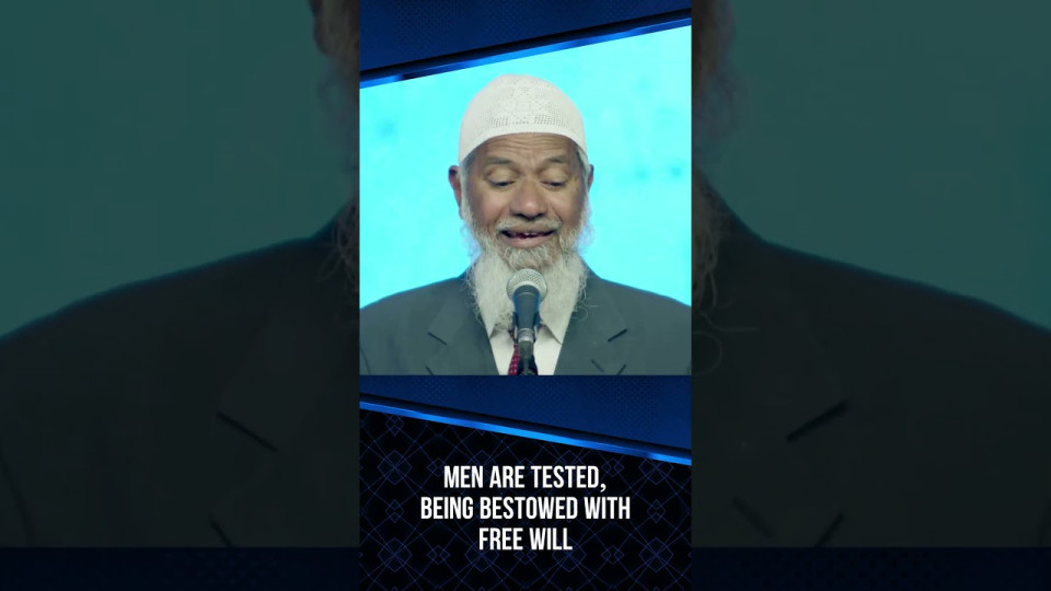 DvsyedtkCi8.jpg
