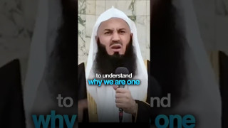 Wjm2gU8BSnM.jpg